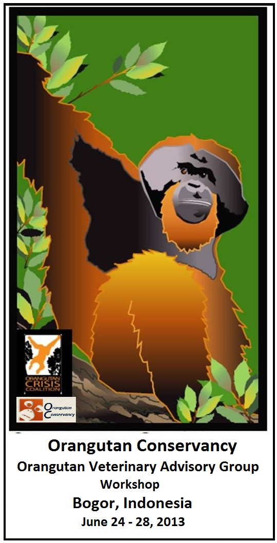 2013 OVAG logo (2)