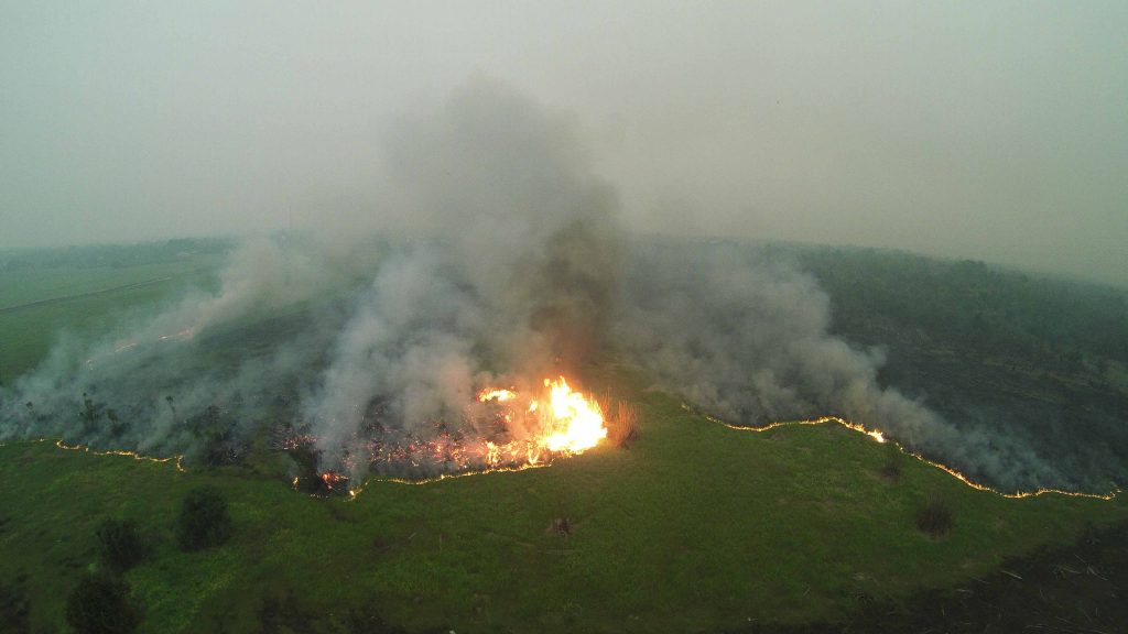 Fires burn on degraded land in Sebangau National Park in Central Kalimantan in October 2015. Bernat Ripoll Capilla/Borneo Nature Foundation 